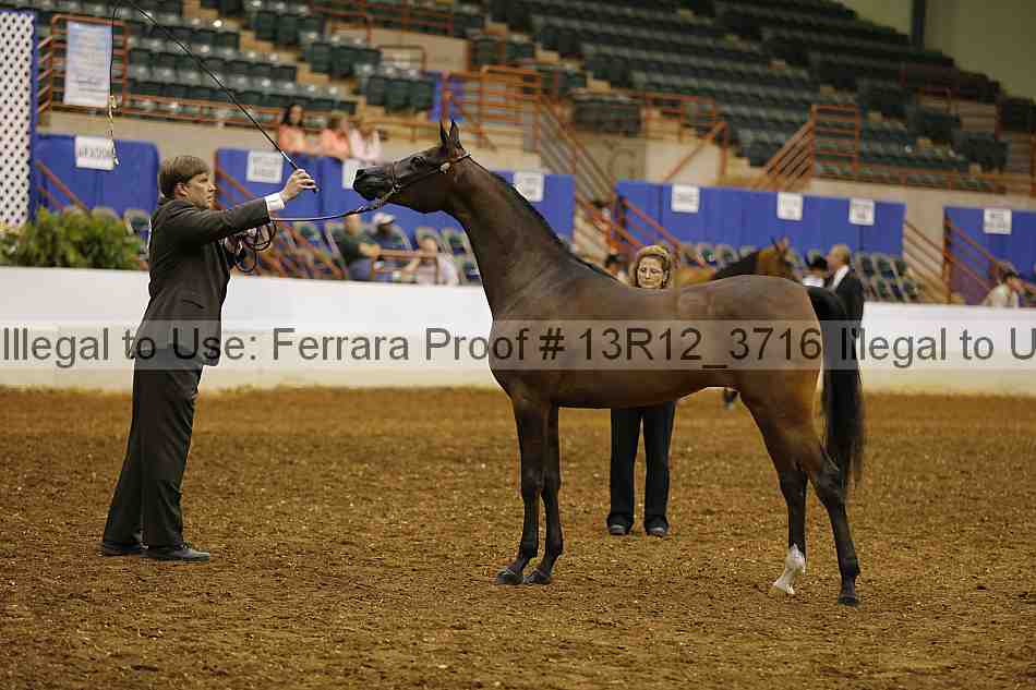 Proof 13r12_3716