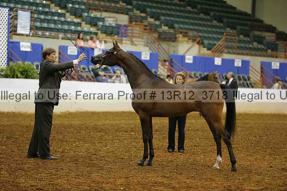 Proof 13r12_3718