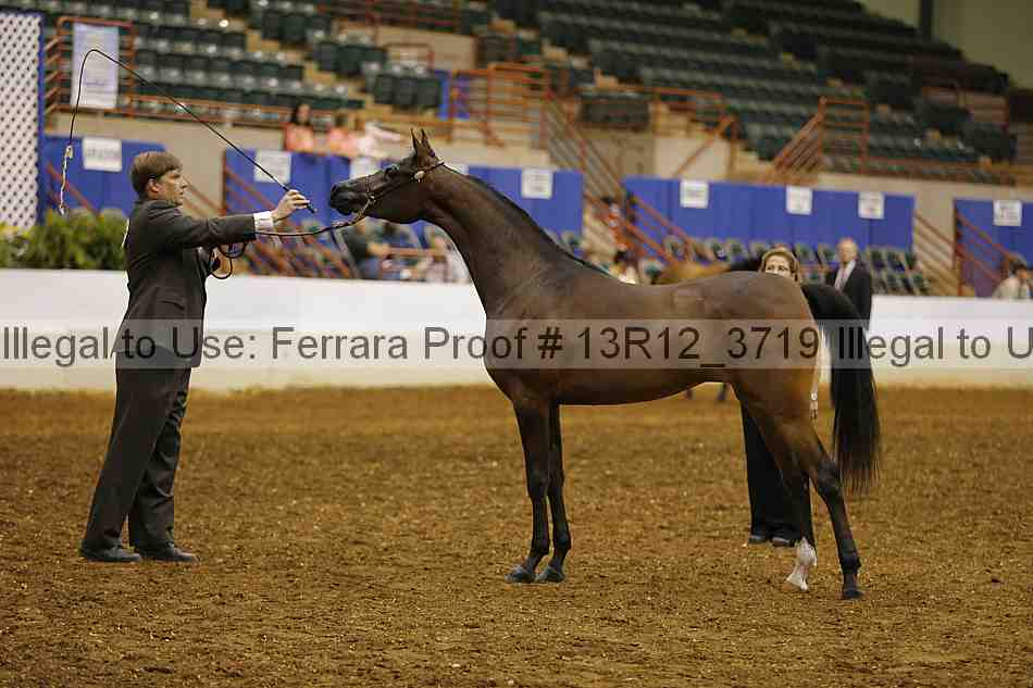 Proof 13r12_3719