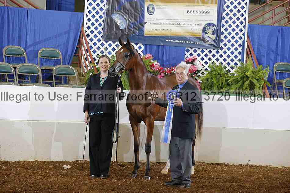 Proof 13r12_3720