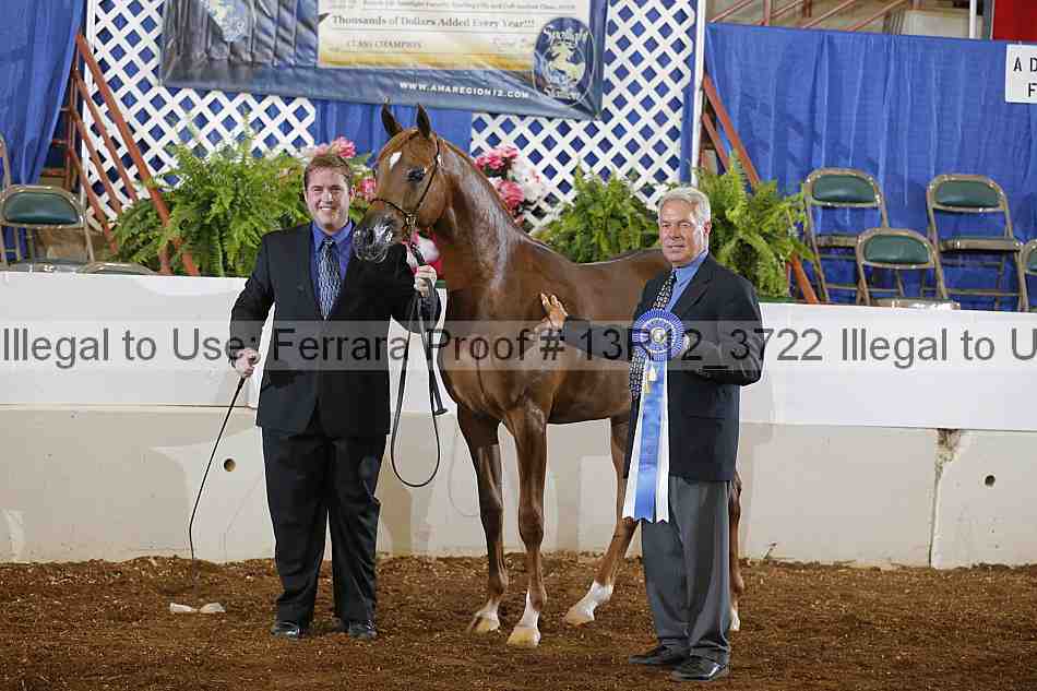 Proof 13r12_3722