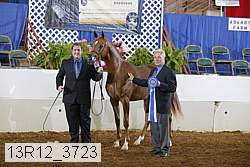 13r12_3723 proof