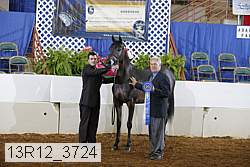 13r12_3724 proof