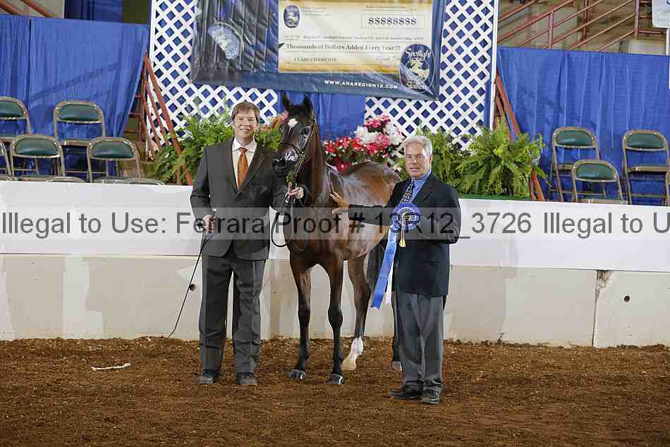 Proof 13r12_3726