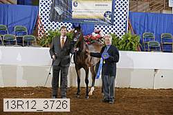 13r12_3726 proof