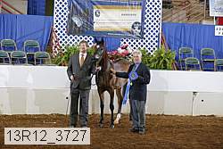 13r12_3727 proof