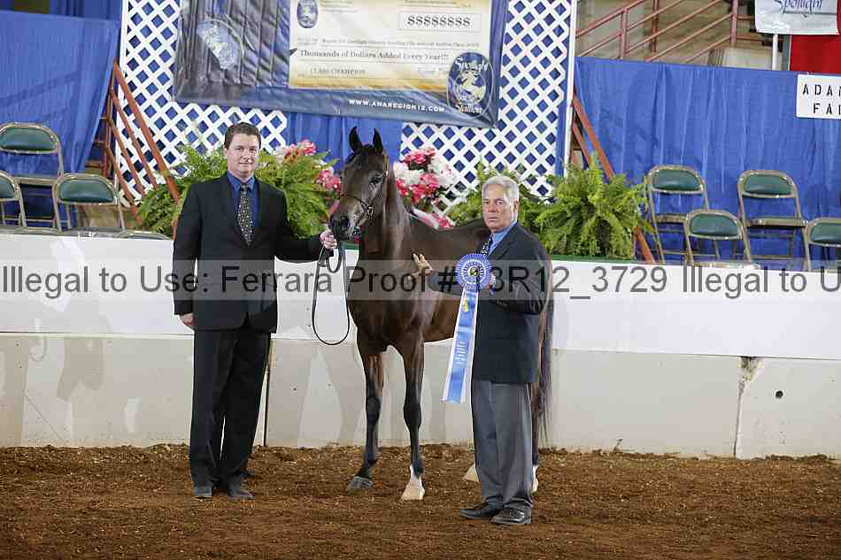 Proof 13r12_3729