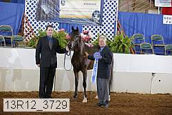 13r12_3729 proof