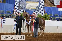 13r12_3731 proof
