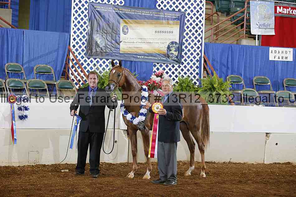 Proof 13r12_3732