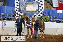 13r12_3732 proof