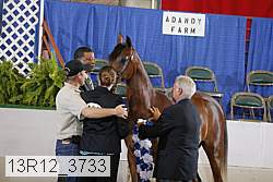 13r12_3733 proof