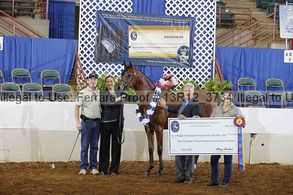 Proof 13r12_3734