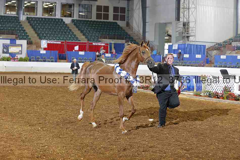Proof 13r12_3736