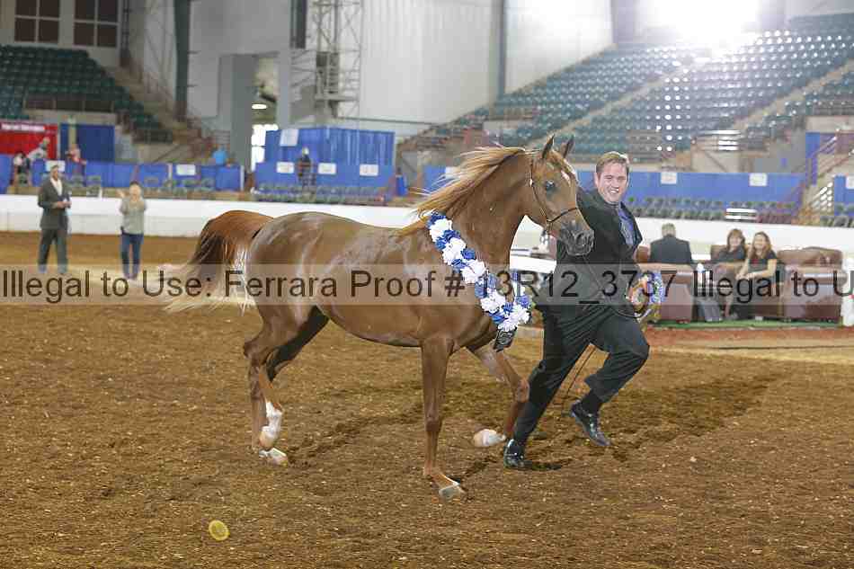Proof 13r12_3737