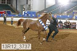 13r12_3737 proof