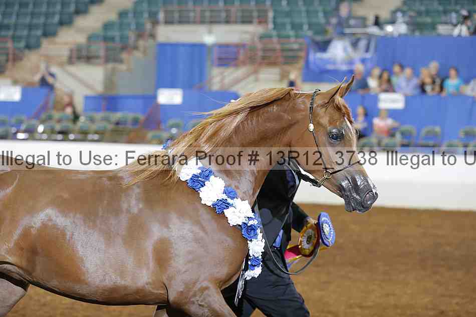 Proof 13r12_3738