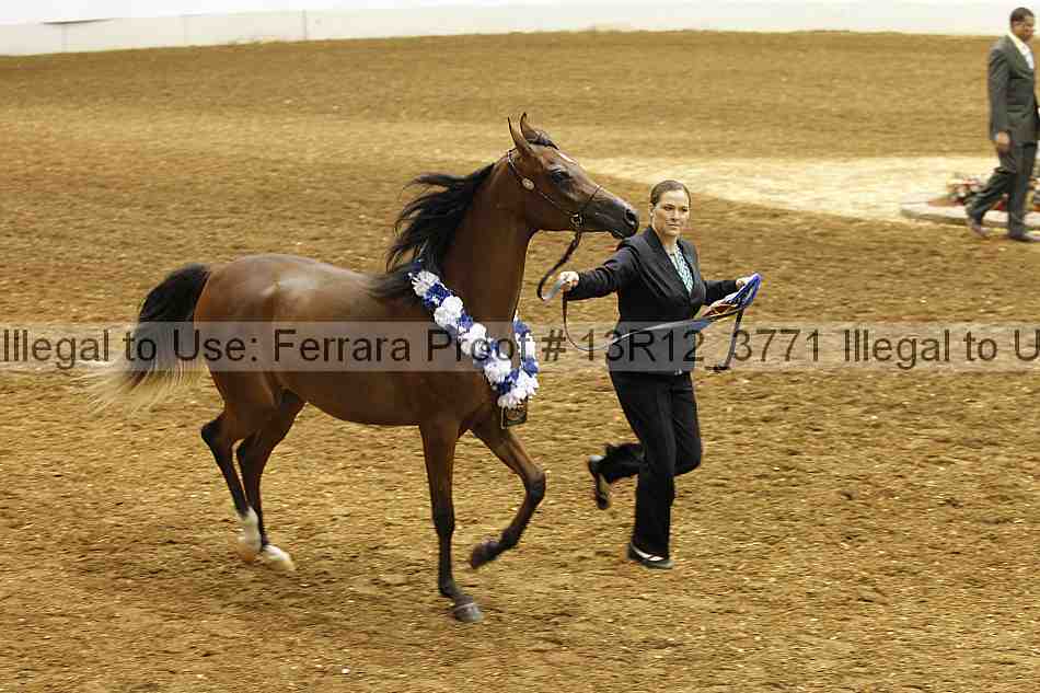 Proof 13r12_3771