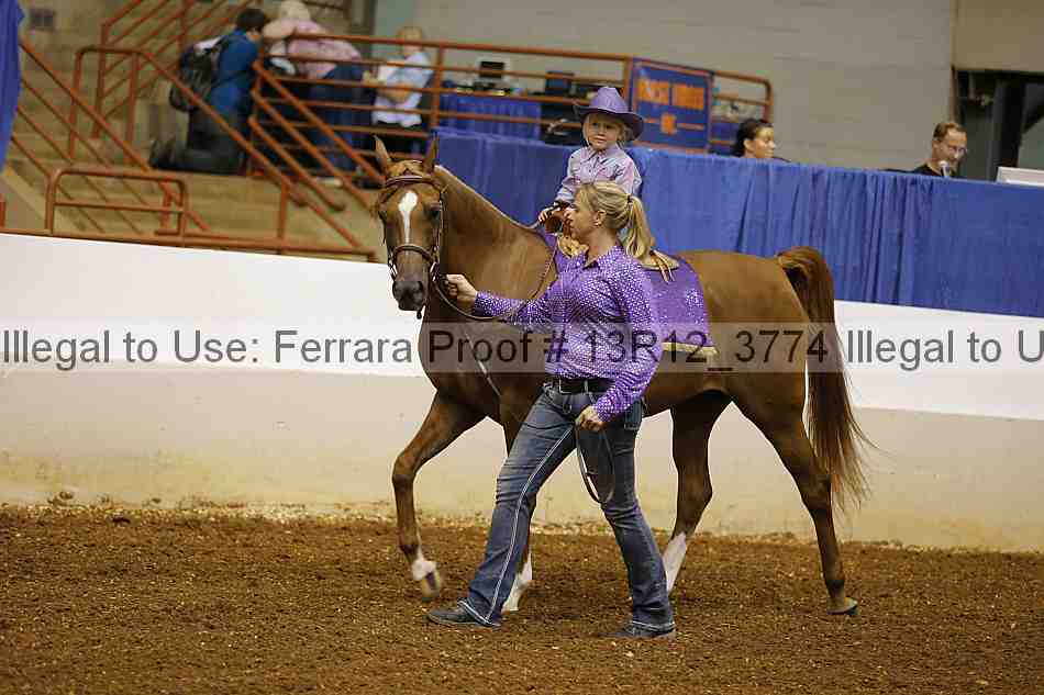 Proof 13r12_3774
