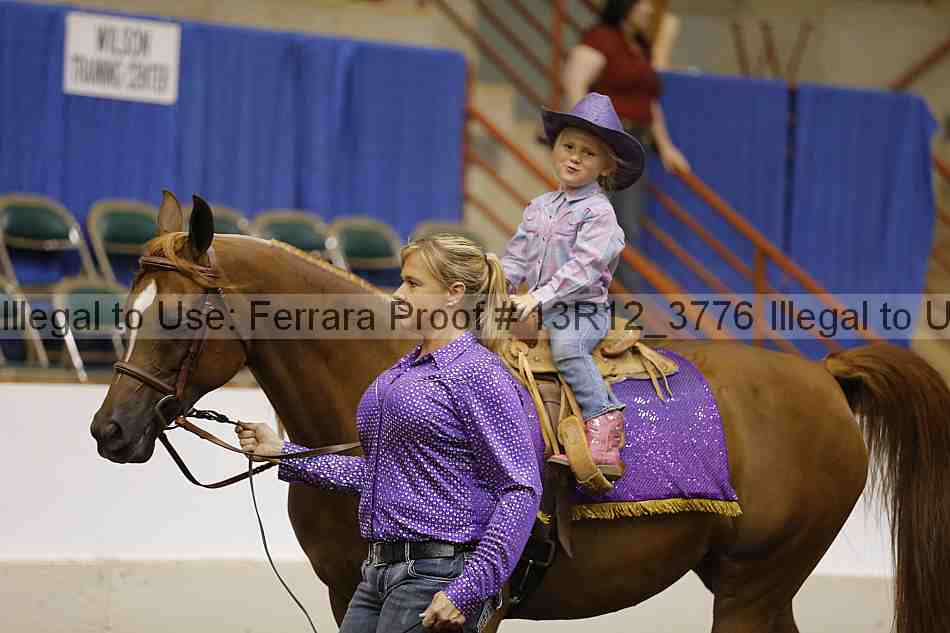 Proof 13r12_3776