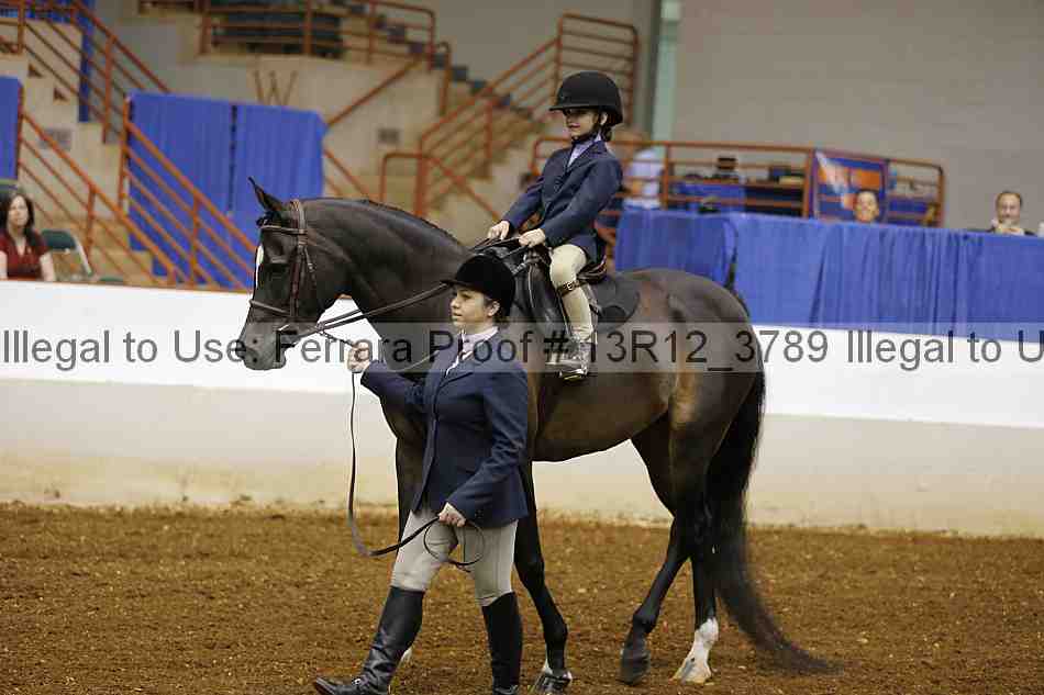 Proof 13r12_3789