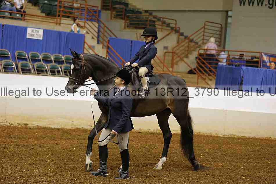 Proof 13r12_3790