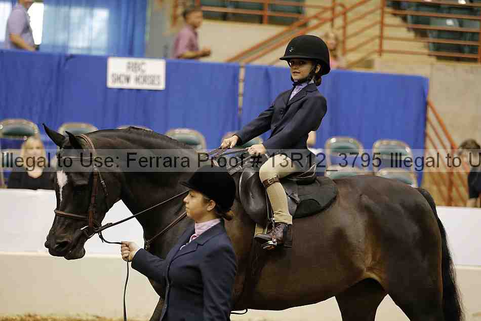 Proof 13r12_3795