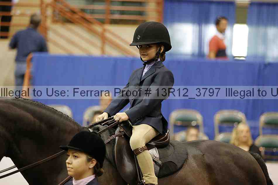 Proof 13r12_3797