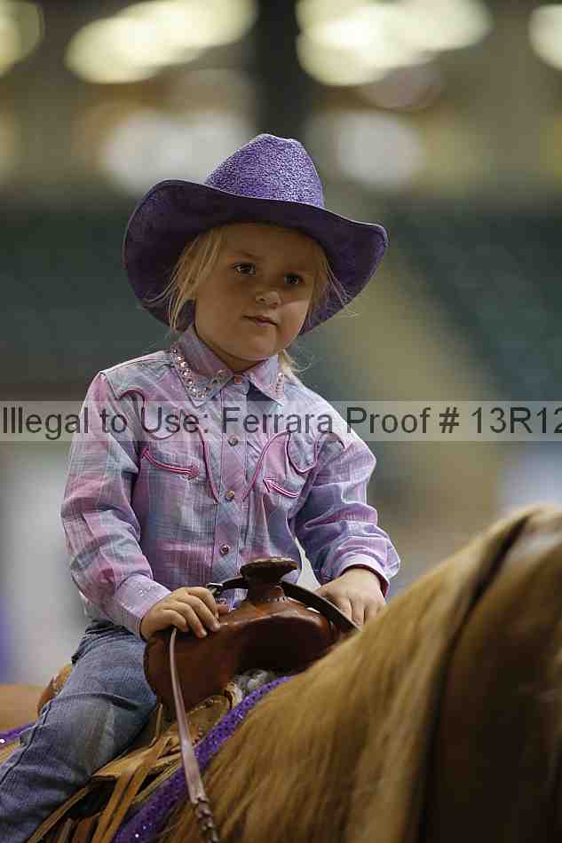 Proof 13r12_3799