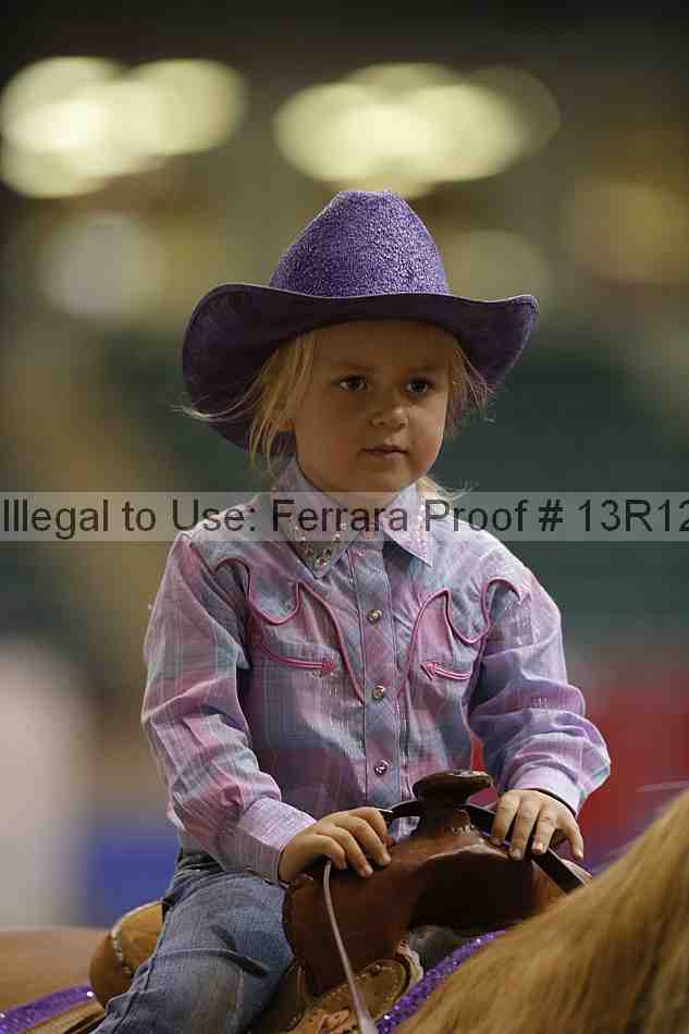 Proof 13r12_3800