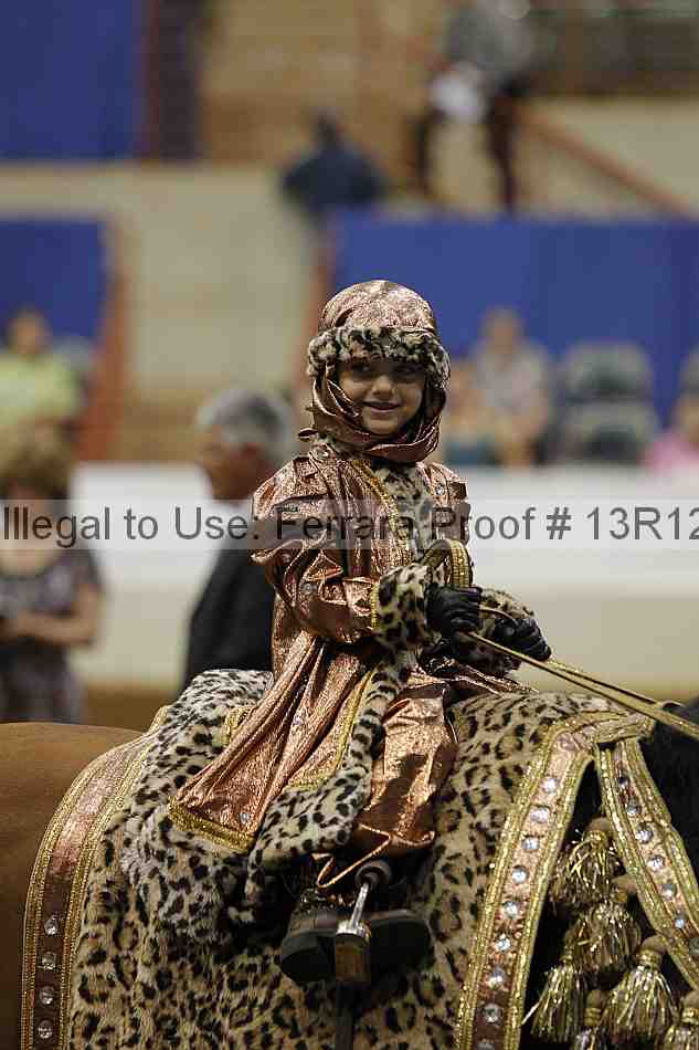 Proof 13r12_3805