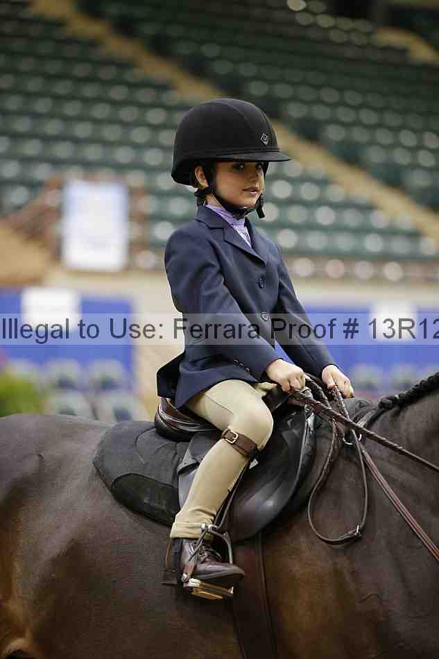 Proof 13r12_3834