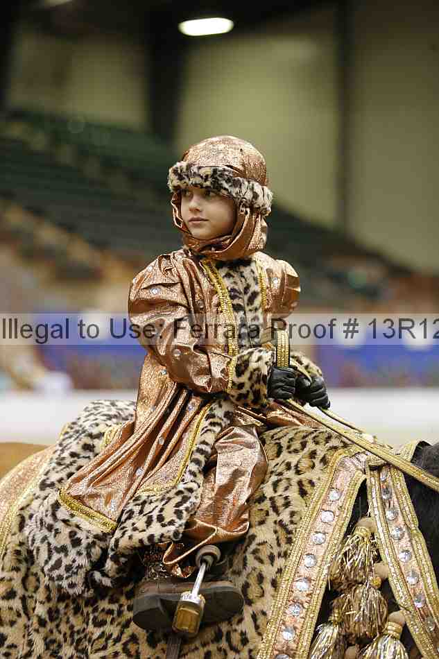 Proof 13r12_3839