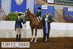 13r12_3848 proof