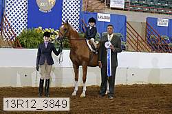 13r12_3849 proof
