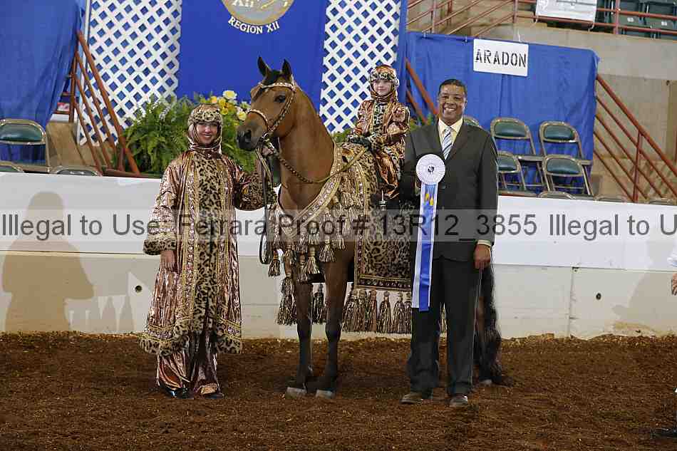 Proof 13r12_3855