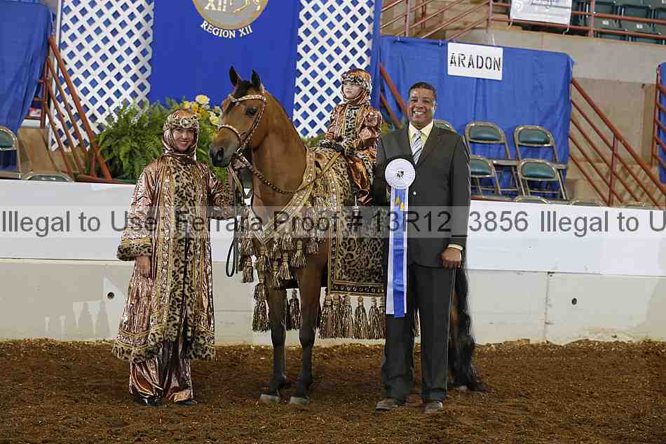 Proof 13r12_3856