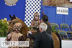 13r12_3858 proof