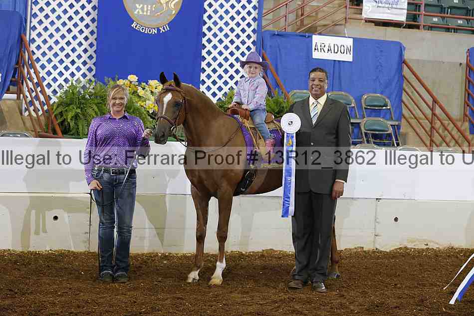 Proof 13r12_3862