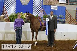 13r12_3862 proof