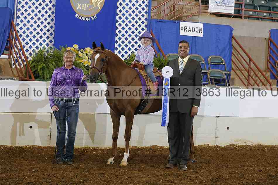 Proof 13r12_3863