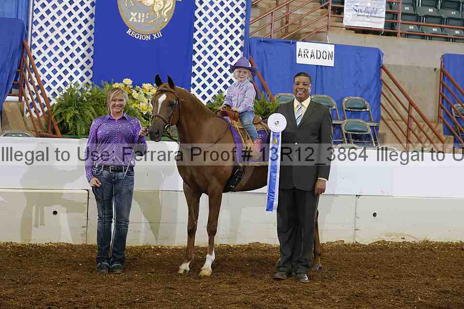 Proof 13r12_3864