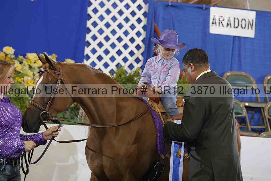 Proof 13r12_3870