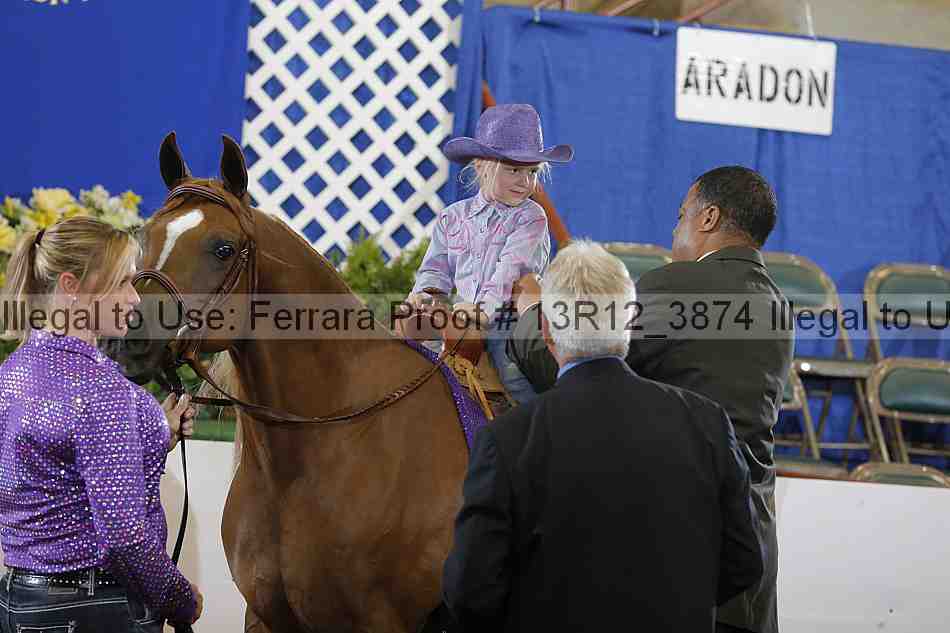 Proof 13r12_3874
