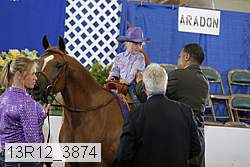 13r12_3874 proof