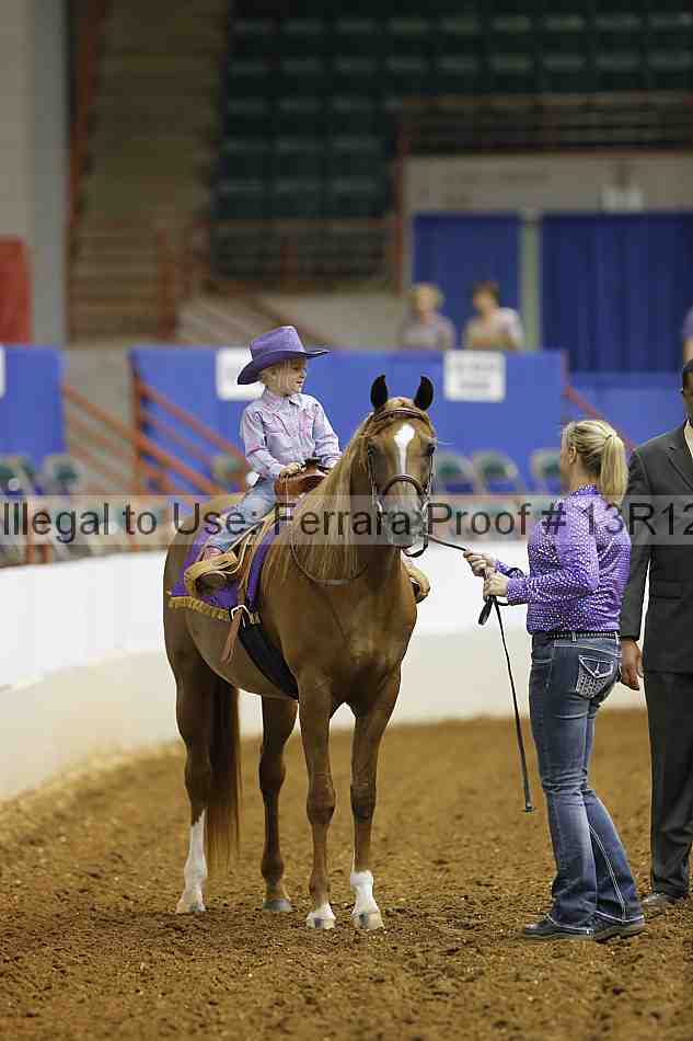 Proof 13r12_3876
