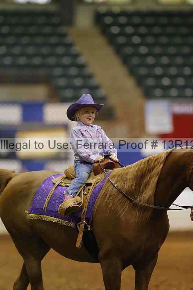 Proof 13r12_3877