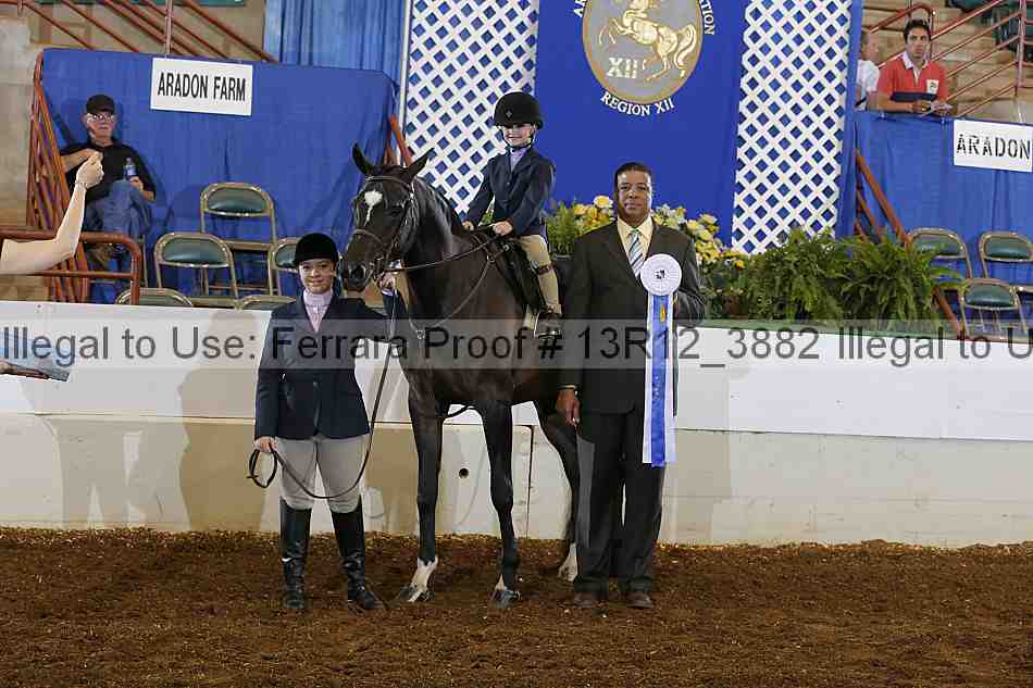 Proof 13r12_3882