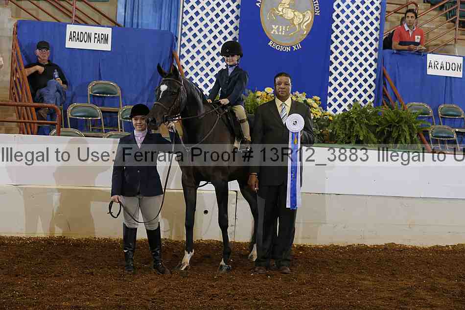 Proof 13r12_3883
