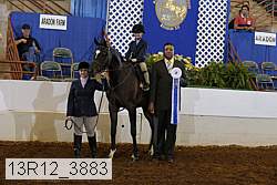 13r12_3883 proof